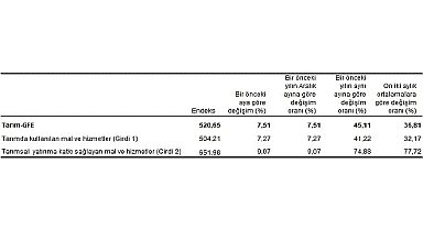 Tüik: Tarımsal girdi fiyat endeksi (Tarım-GFE) yıllık %45,11, aylık %7,51 arttı