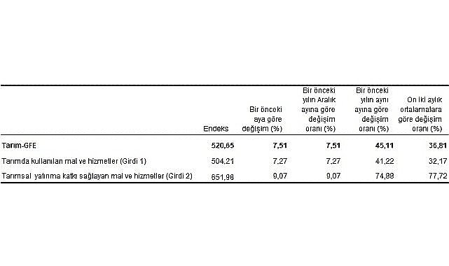 Tüik: Tarımsal girdi fiyat endeksi (Tarım-GFE) yıllık %45,11, aylık %7,51 arttı