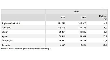 TÜİK: Ticari süt işletmelerince 915 bin 522 ton inek sütü toplandı