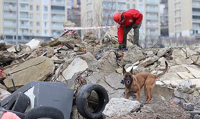 'Zeyna'dan Büyük Başarı