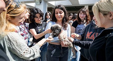 4 Nisan Dünya Sokak Hayvanları Günü PAKO'da kutlandı