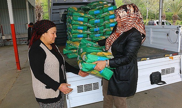 Büyükşehir Belediyesi'nden silajlık mısır tohumu desteği