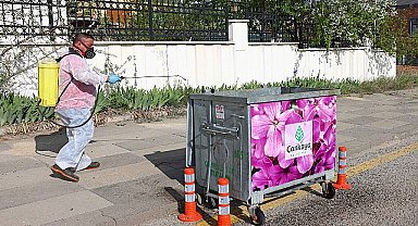 Çankaya Belediyesonden Gece Gündüz İlaçlama