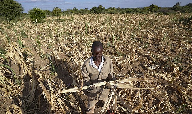 Çin'den Afrika ülkelerine acil gıda yardımı