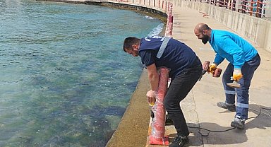 Kocaelilileri bu yaz pırıl pırıl sahiller bekliyor