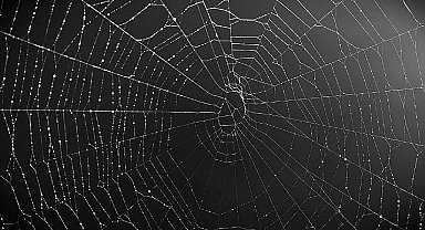 Kurumsal cihazları hedef alan zararlı yazılımların %53'ü veri çalıyor!