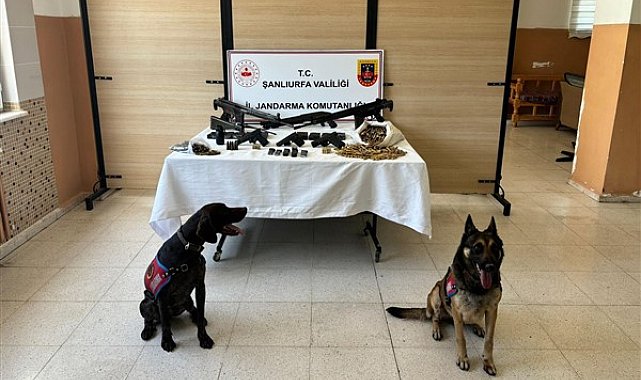 Şanlıurfa’da silah kaçakçılığı operasyonu