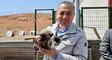 Sivas Belediye Başkanı Dr. Adem Uzun Sokak Hayvanları Bakım ve Rehabilite Merkezi'ni ziyaret etti