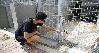 Sokak hayvanlarının en özel günü 