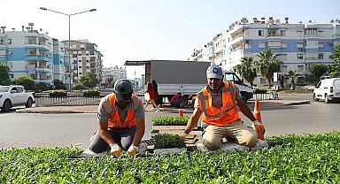 Antalya yazlık çiçeklerle rengarenk olacak