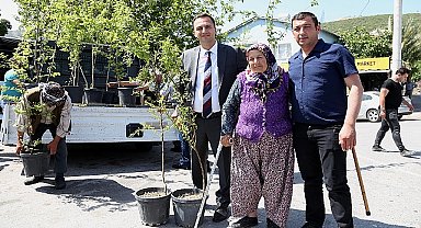 Bir yılda 10 bin meyve fidanı dağıtılacak