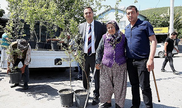 Bir yılda 10 bin meyve fidanı dağıtılacak