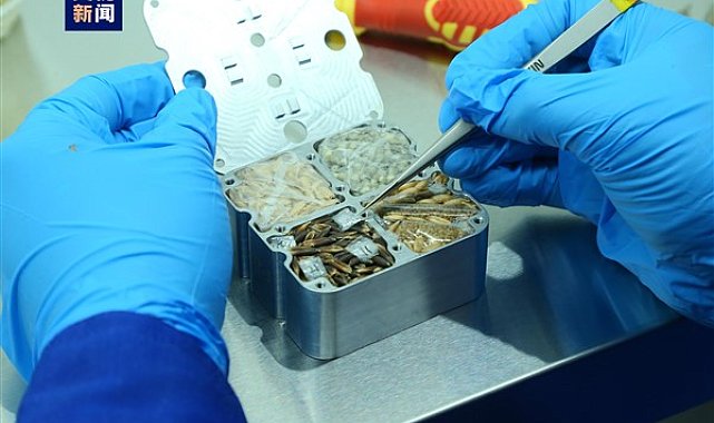Çinli taykonotlar, uzay dışı yaşama ait 31 kilogramlık numune getirdi