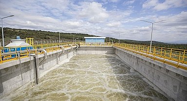 İzmir Büyükşehir Belediyesi'nden açıklama Keçilerin ölüm nedeni zehirlenme değil