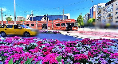 İzmir'de yıl boyunca bahar havası