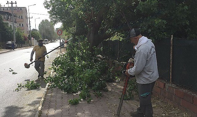 Kemer Belediyesi'nden yeşil alanlarda bakım çalışmaları