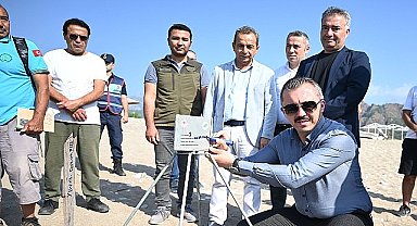 Kemer'de “Caretta caretta ilk yuva