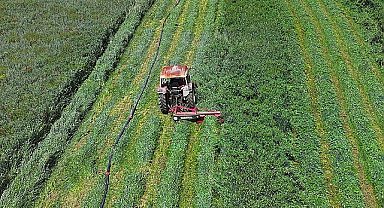 Konya Büyükşehir'in Macar Fiği Tohumu Desteği ile Ekilen Tarlalarda Hasat Yapıldı Başkan Altay: “Çiftçimize Verdiğimiz Desteklerle Millî Ekonomiye Katma Değer Sağlıyoruz