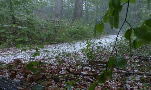 Meteoroloji'den kuvvetli yağış uyarısı