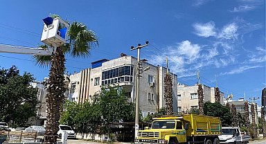 Milas Belediyesi'nin hızlı ve etkin müdahalesiyle bir fırsata dönüştü