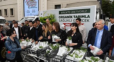 Osmangazi Belediyesi'nden vatandaşa 100 bin fide