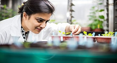 'Uluslararası Bilim Ortaklıkları Fonu'ndan yeni araştırma iş birlikleri için 80 bin Sterlin destek