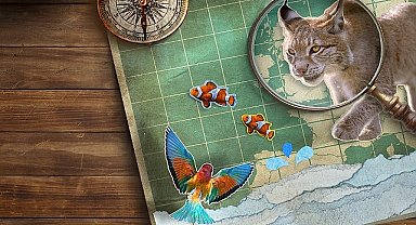 'Vahşi Avrupa' Temasıyla National Geographic NOW Seç-İzle Servisi Haziran Ayında Yine Dopdolu