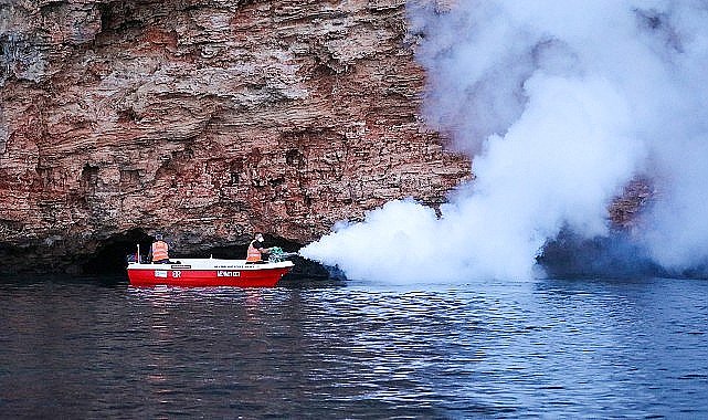 Vektörel mücadele hem denizden hem karadan sürüyor