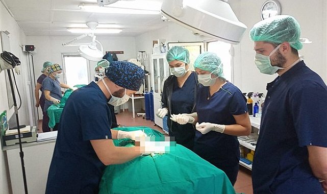 Veteriner fakültesi öğrencilerine uygulamalı eğitim