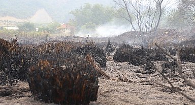 Antalya Aksu Çalkaya Mahallesi'nde Çıkan Yangın Kontrol Altına Alındı