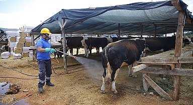Antalya Büyükşehir Kurban Bayramı'na hazır