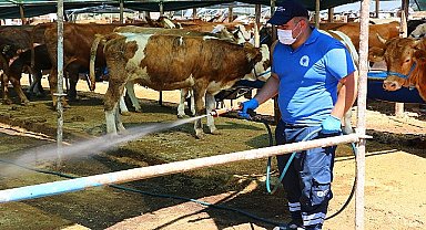Antalya Büyükşehir Kurban Pazar Yerlerini İlaçlıyor 