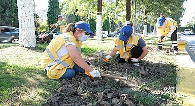 Aydın Büyükşehir Belediyesi, Aydın'ın dört bir tarafını mevsimlik çiçekler ile süslemeye devam ediyor