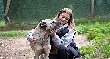 Başkan Aydın: “Hayvanlar uyutulmasın, sahiplendirilsin
