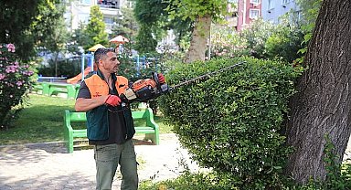 Başkan Mutlu tespit etti, ekipler sahaya indi