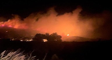 Bayındır'da çıkan yangın kontrol altına alındı