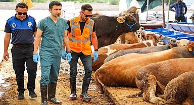 Buca'da kurban pazarlarında sıkı denetim