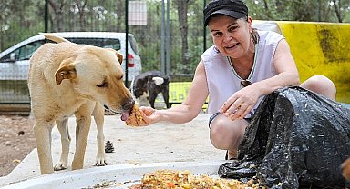 Buca'da sahipsiz can dostları için önemli iş birliği