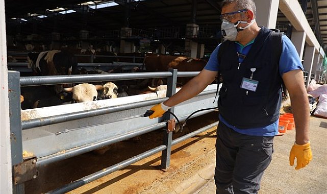 Bursa Büyükşehir'in kurban pazarlarında ilaçlama çalışmalarını sürdürüyor