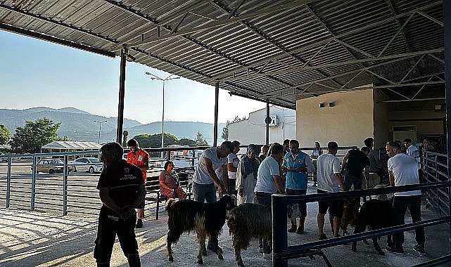 Büyükşehir Mezbahaları Kurban Bayramı'na Hazır