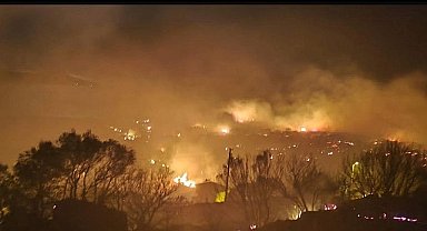 Dikili'de çıkan yangın kontrol altına alındı