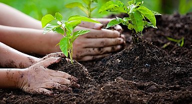 Dünya Çevre Günü'nde TEMA Vakfı'ndan Anlamlı Mesaj: