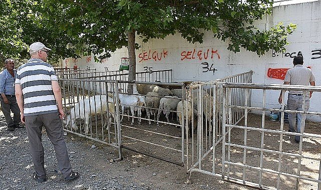 Edremit Belediyesi Kurban Bayramı'na hazır