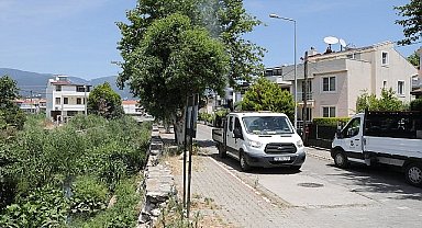 Edremit'te sinekle mücadele sıkı bir şekilde devam ediyor