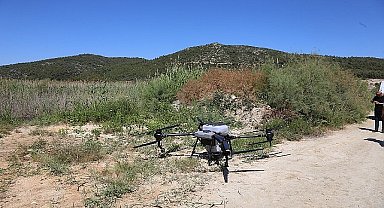 Efes Selçuk'ta İlaçlama Çalışmaları: Büyükşehir Belediyesi'nden Tam Destek!