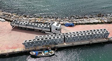 Eskihisar sahiline yapay resif bırakılacak