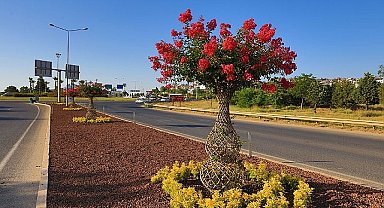 Güzelbahçe'nin 'Oyaları' Çiçek Açtı