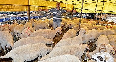 İzmir Büyükşehir Belediyesi Kavurmalar ihtiyaç sahiplerinin sofrasına ulaştırılacak
