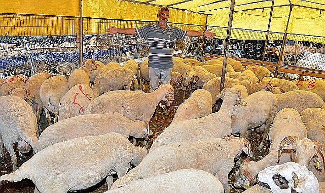 İzmir Büyükşehir Belediyesi Kavurmalar ihtiyaç sahiplerinin sofrasına ulaştırılacak