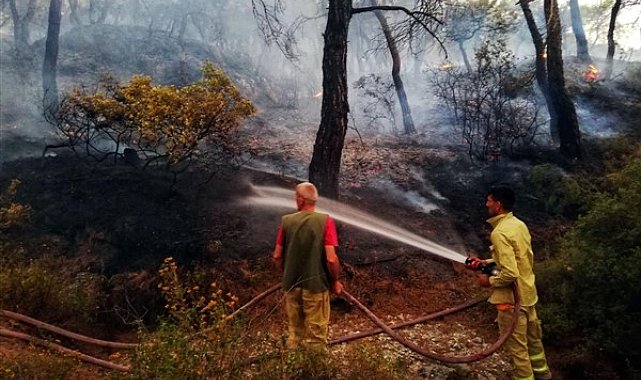 İzmir’de çıkan 355 yangından 325'i başlangıç aşamasındayken söndürüldü